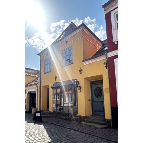 5 dages malekursus p� �r�, mandag d. 21. september - fredag d. 25. september 2026