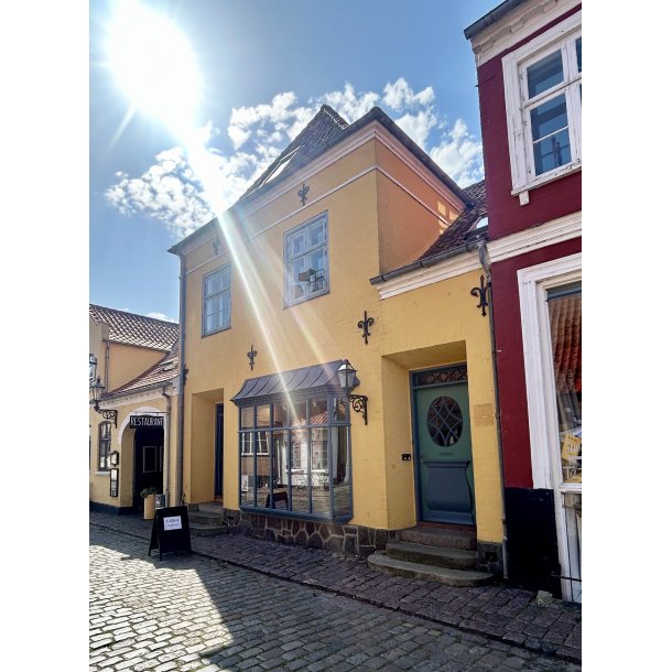 Skr�ddersyet malekursus p� �r�